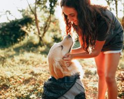 Evcil Hayvanlarda Yaz Bakımı: Sıcak Havalarda Dikkat Edilmesi Gerekenler